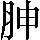 CNS2-2C7C