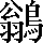 CNS2-6D36