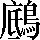 CNS5-6B41