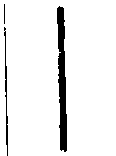 SW-JIGUGE4-01307