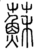 SW-JIGUGE4-01605
