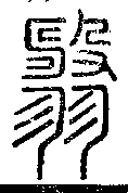 SW-JIGUGE4-11303