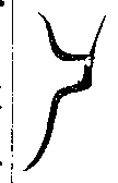 SW-JIGUGE4-13006