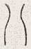 SW-JIGUGE5-03302