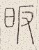 SW-JIGUGE5-22523