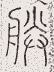 SW-JIGUGE5-28807