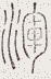 SW-JIGUGE5-38118