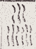 SW-JIGUGE5-39114