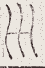SW-JIGUGE5-39408