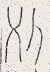 SW-JIGUGE5-43805