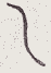 SW-JIGUGE5-43810