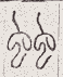 SW-JIGUGE5-46504