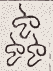 SW-JIGUGE5-46631