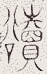 SW-JIGUGE5-50405