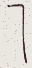SW-JIGUGE5-50907