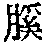 CB04517